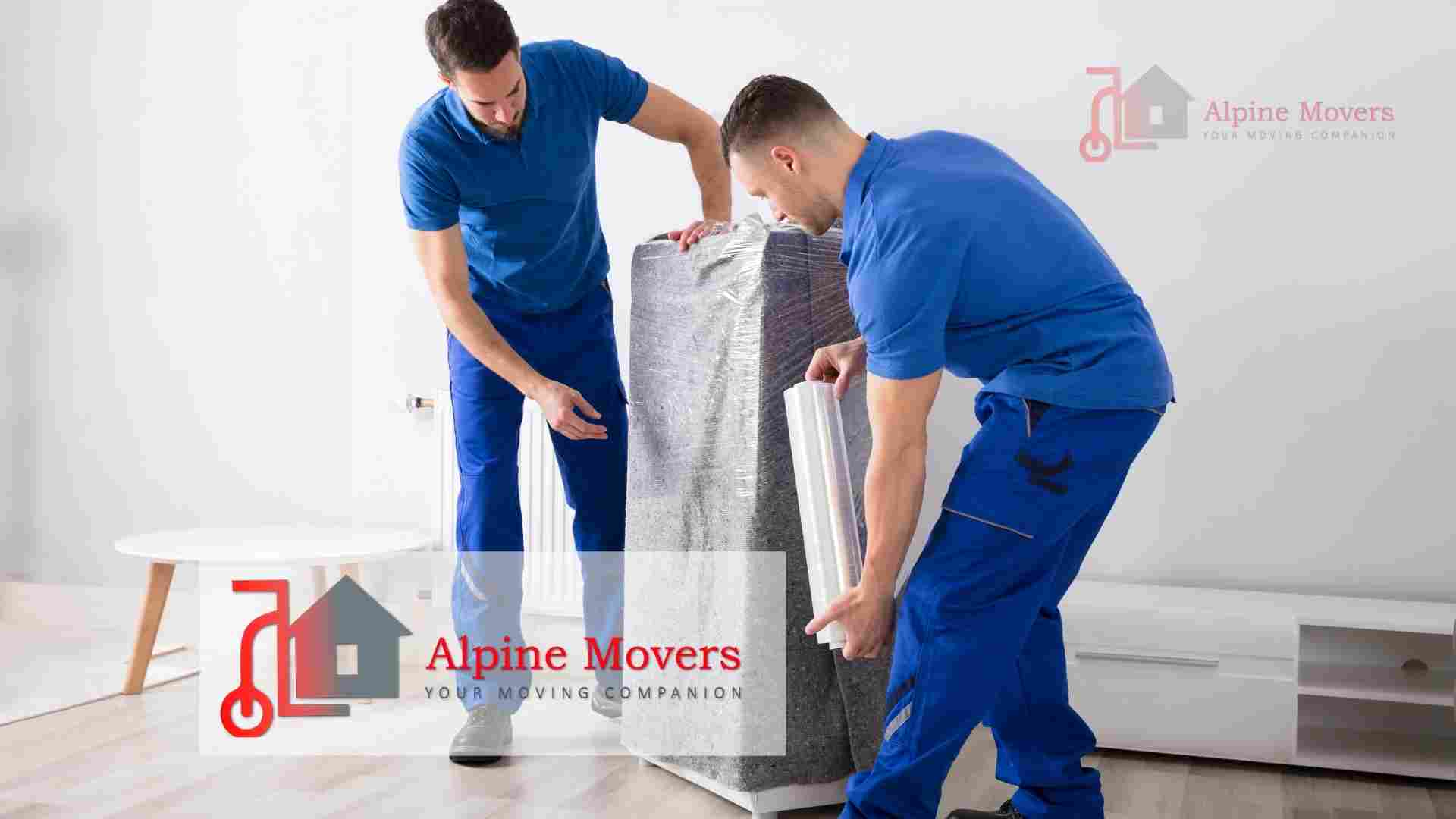 Shifting packing dubai - Alpine Movers