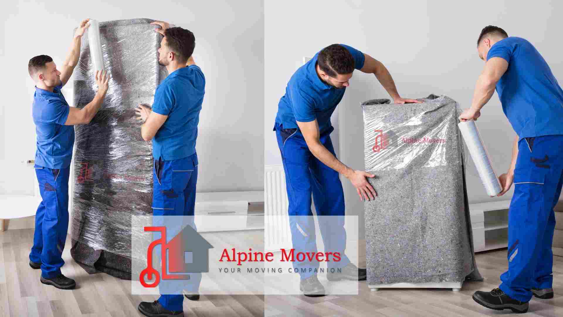 Best movers and packers in Business Bay - Alpine Movers