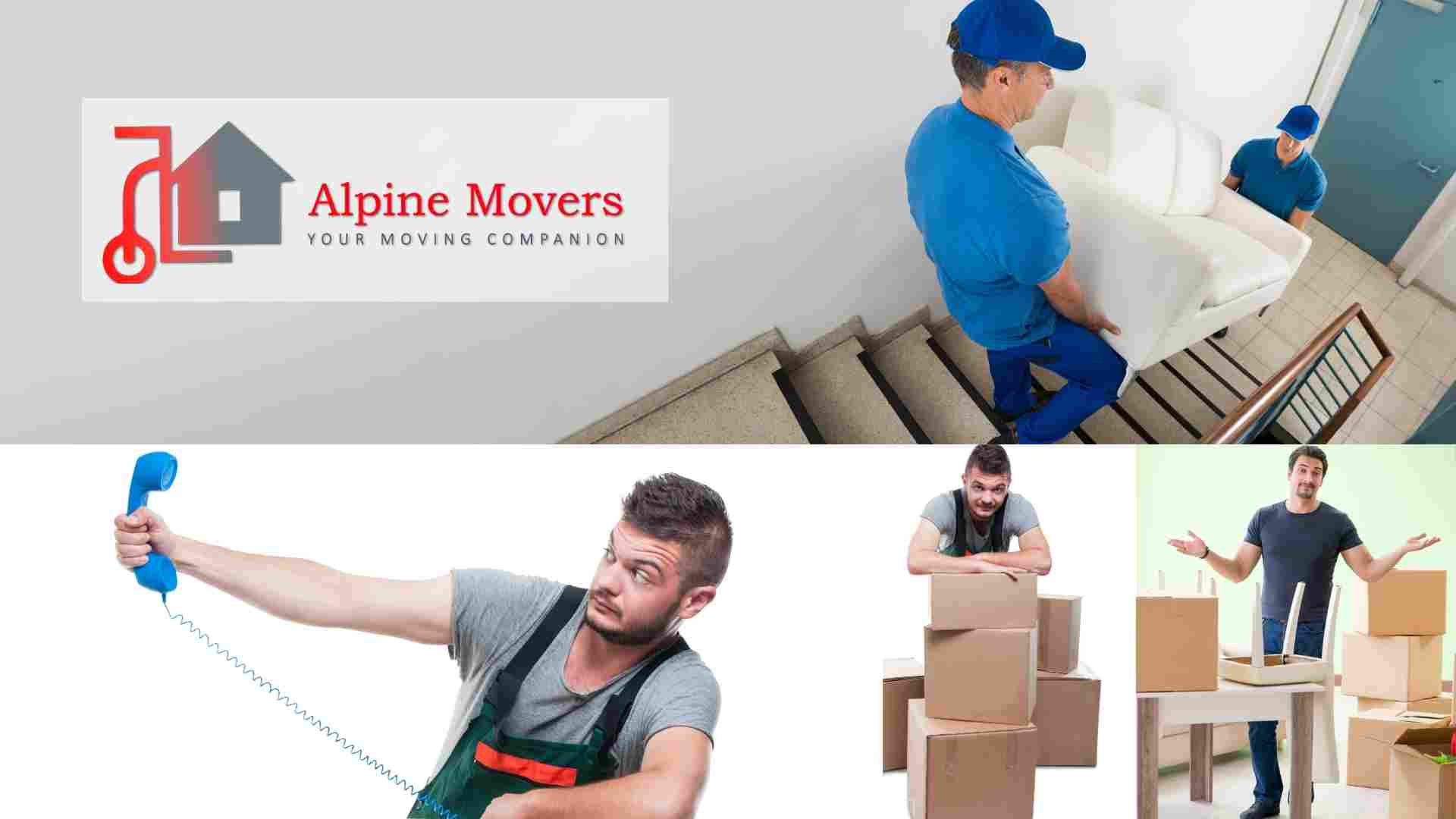Contact - Alpine Movers and Packers in Dubai