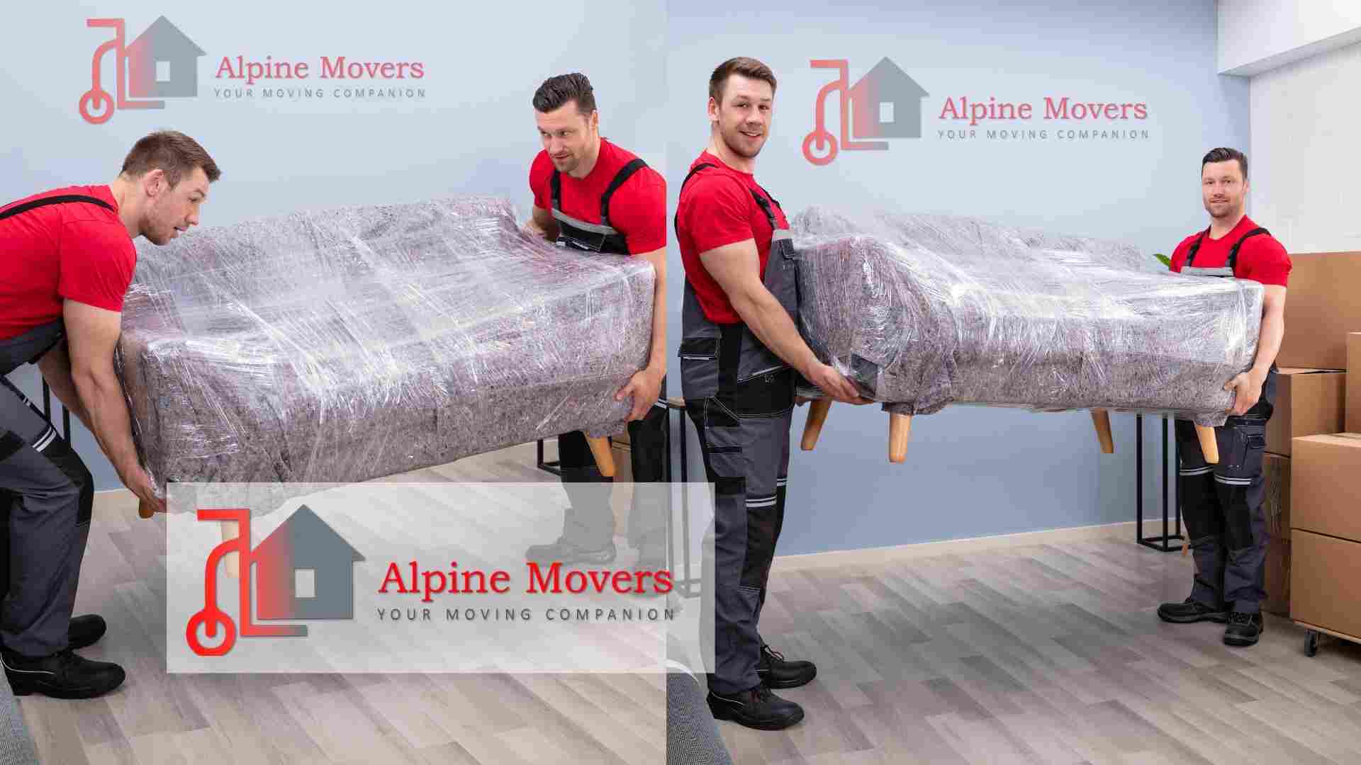 Office and Commercial Movers and Packers in Sharjah - Alpine Movers and Packers in Sharjah