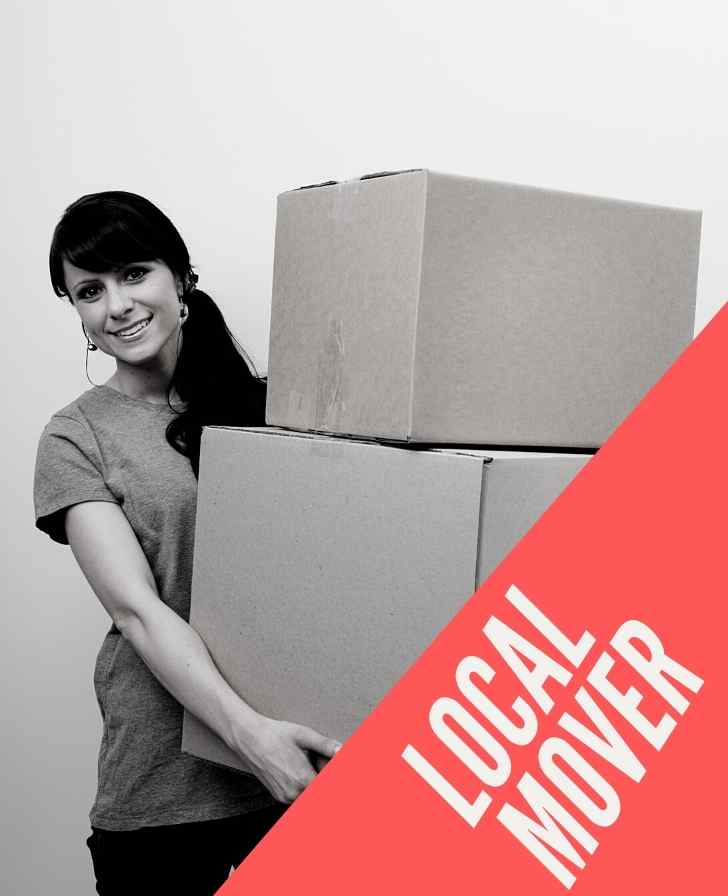 Local Mover and packers Dubai - Alpine Movers